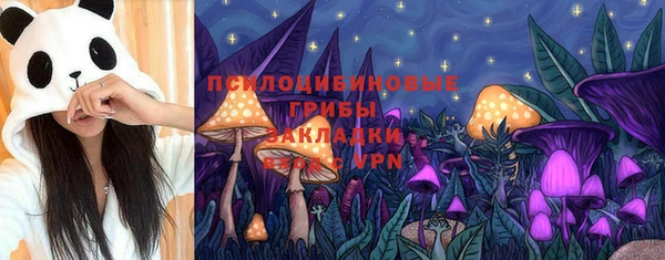 экстази Алексин
