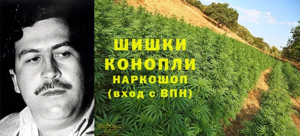 трава Алзамай